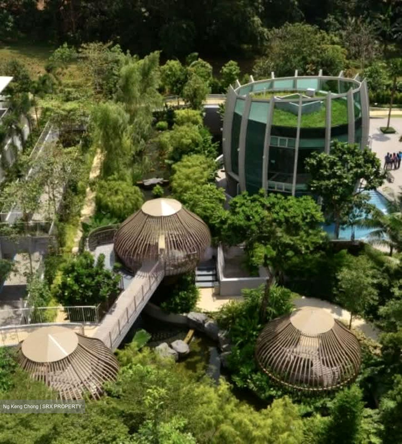 Tree House (D23), Condominium #561643371